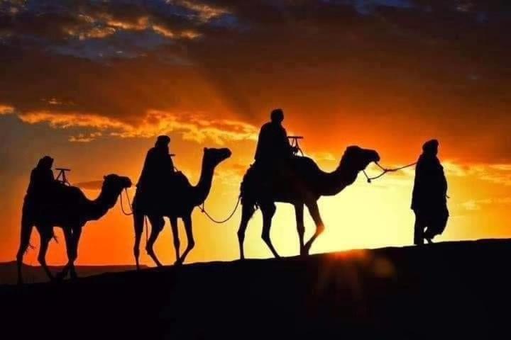Отель Bivouac Camel Trips Мерзуга Экстерьер фото