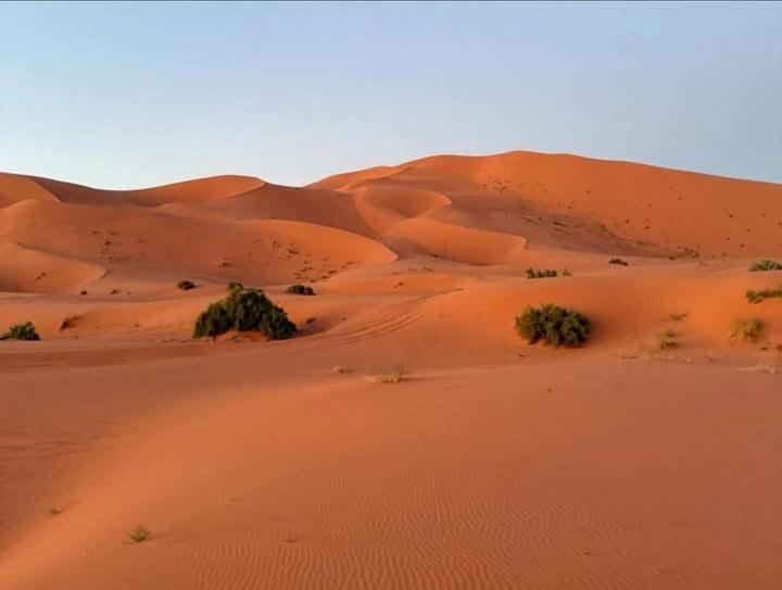 Отель Bivouac Camel Trips Мерзуга Экстерьер фото