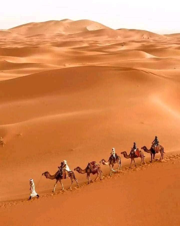 Отель Bivouac Camel Trips Мерзуга Экстерьер фото
