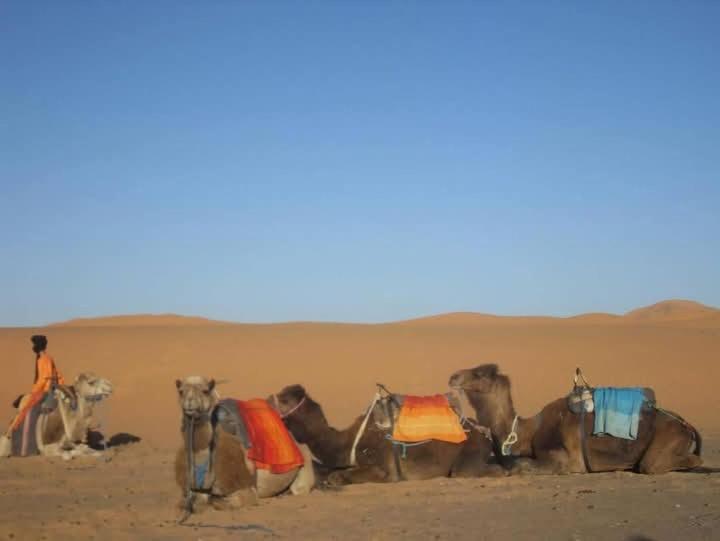 Отель Bivouac Camel Trips Мерзуга Экстерьер фото