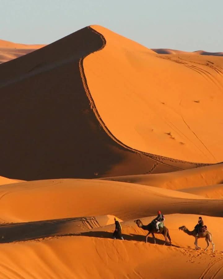 Отель Bivouac Camel Trips Мерзуга Экстерьер фото
